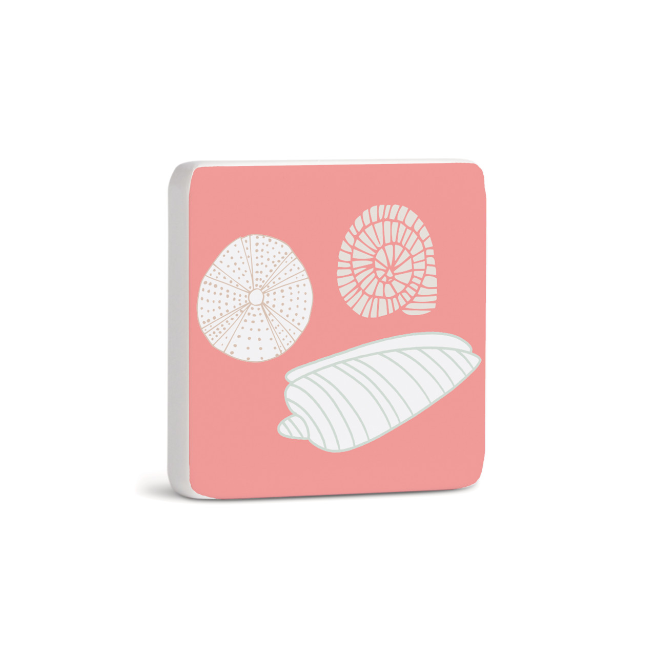 Seashells Magnet - Bone thumbnail