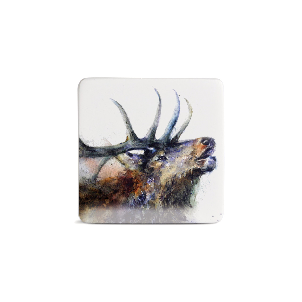 Valley Call Elk Magnet - Bone thumbnail