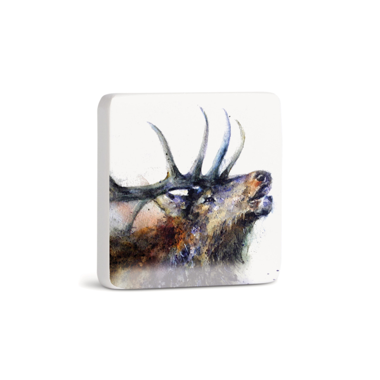 Valley Call Elk Magnet - Bone thumbnail