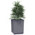 vidaXL Planters 2 pcs Dark Gray 11.8"x11.8"x14.6" Polypropylene