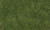 Coarse Turf -- Medium Green