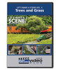 Let's Make a Scene - Model Railroader Video Plus DVD -- Volume 4: Trees and Grass, 1 hour 15 minutes