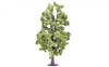 Lime Tree Part No.:R7223