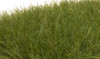 Static Grass - Field System -- Dark Green 1/2&quot;  12mm Fibers
