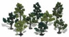 Realistic Trees Kits(TM) - Green Deciduous -- Mixed Green - 3 to 5&quot;  7.6 to 12.7cm Tall pkg(14)