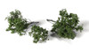 AGT Spring Brambles -- New in Stock