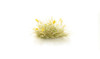 AGT Yellow Seed Tufts -- New in Stock