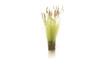 AGT Cattails Tufts -- New in Stock