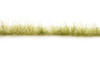 AGT Light Green Edging -- New in Stock