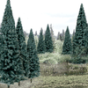 Blue Spruce Tree Value Pack - Ready Made Trees(TM) -- 4 to 6&quot;  10.2 to 15.2cm pkg(13)