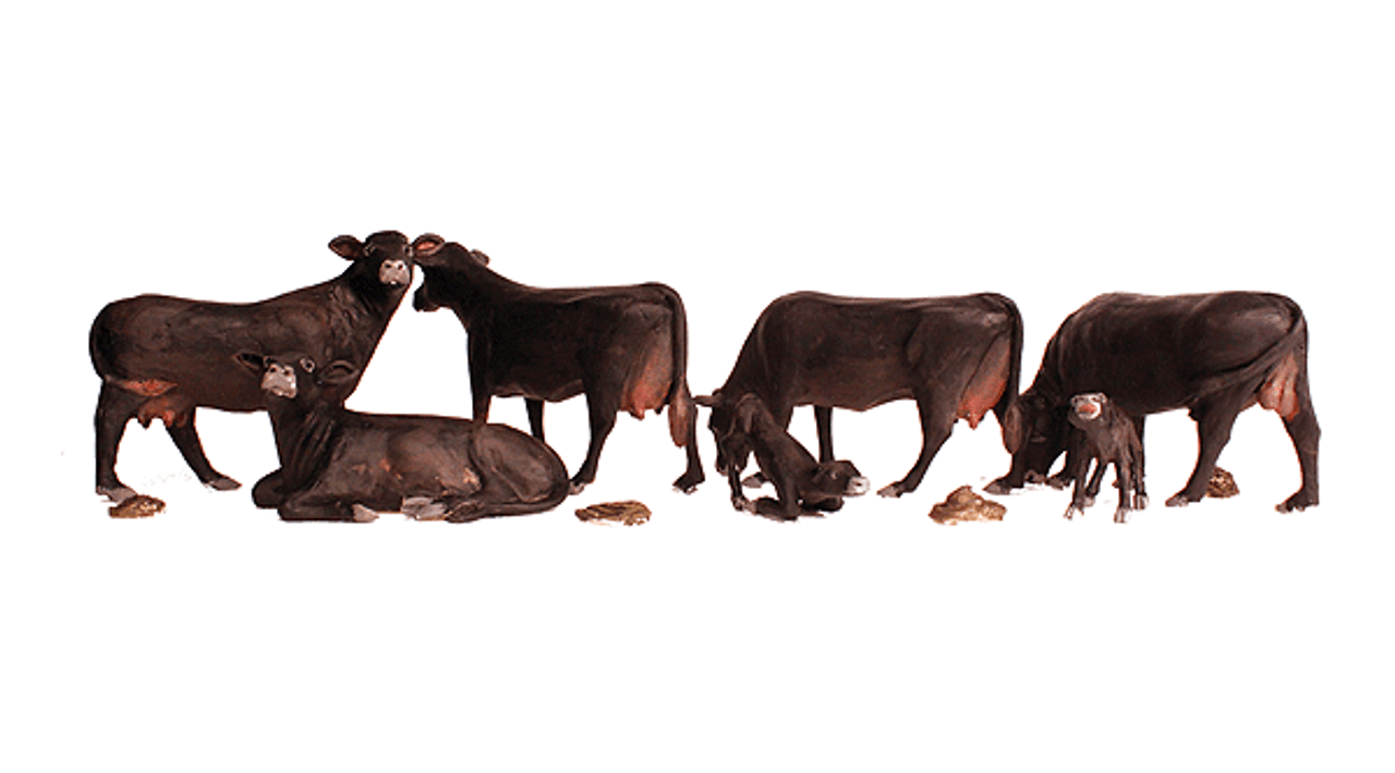 Black Angus Cows - Scenic Accents(R) -- pkg(5)