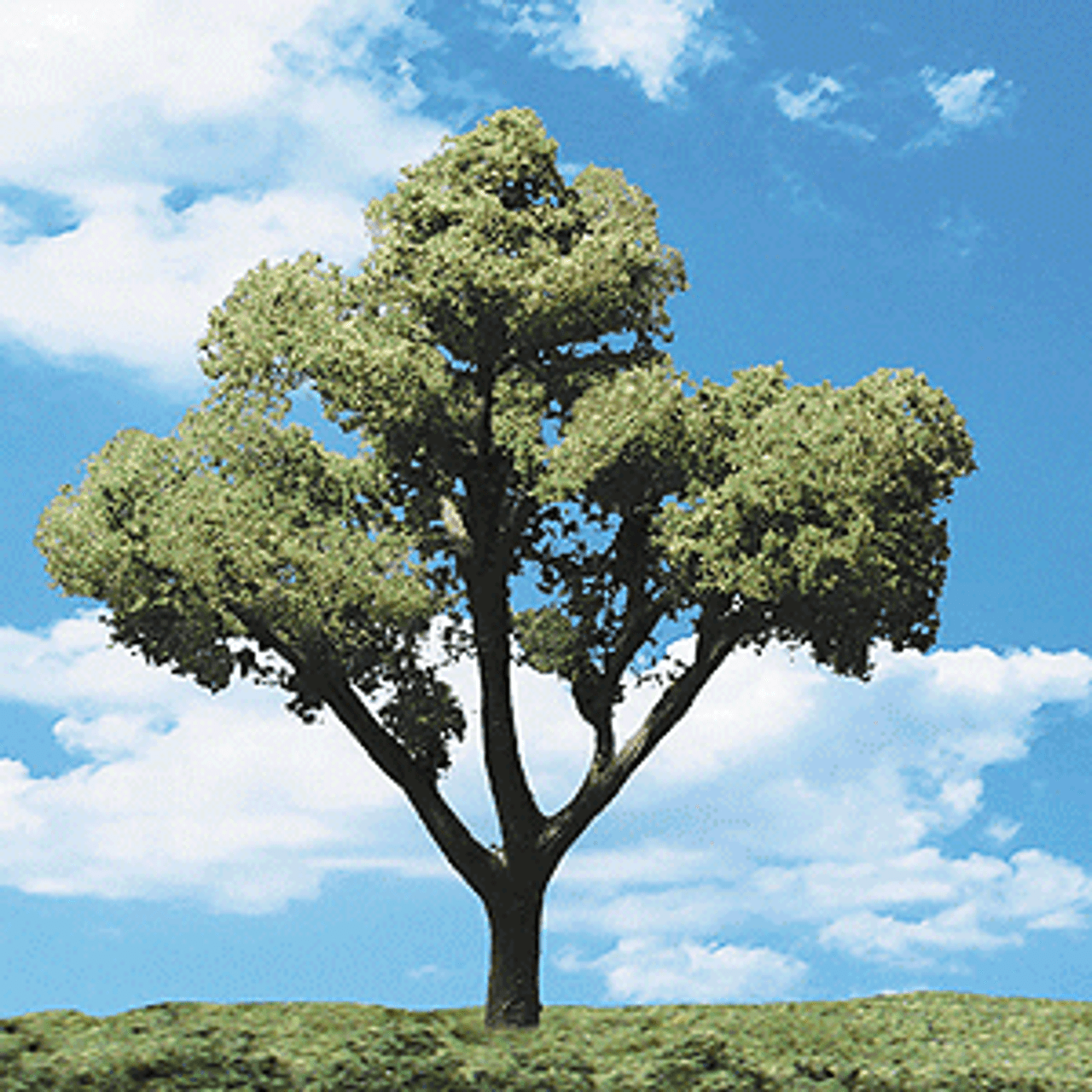 Woodland Classic Trees(R) Ready Made - Early Light -- 3/4 to 1-1/4&quot;  1.9 to 3.2cm Tall pkg(8)