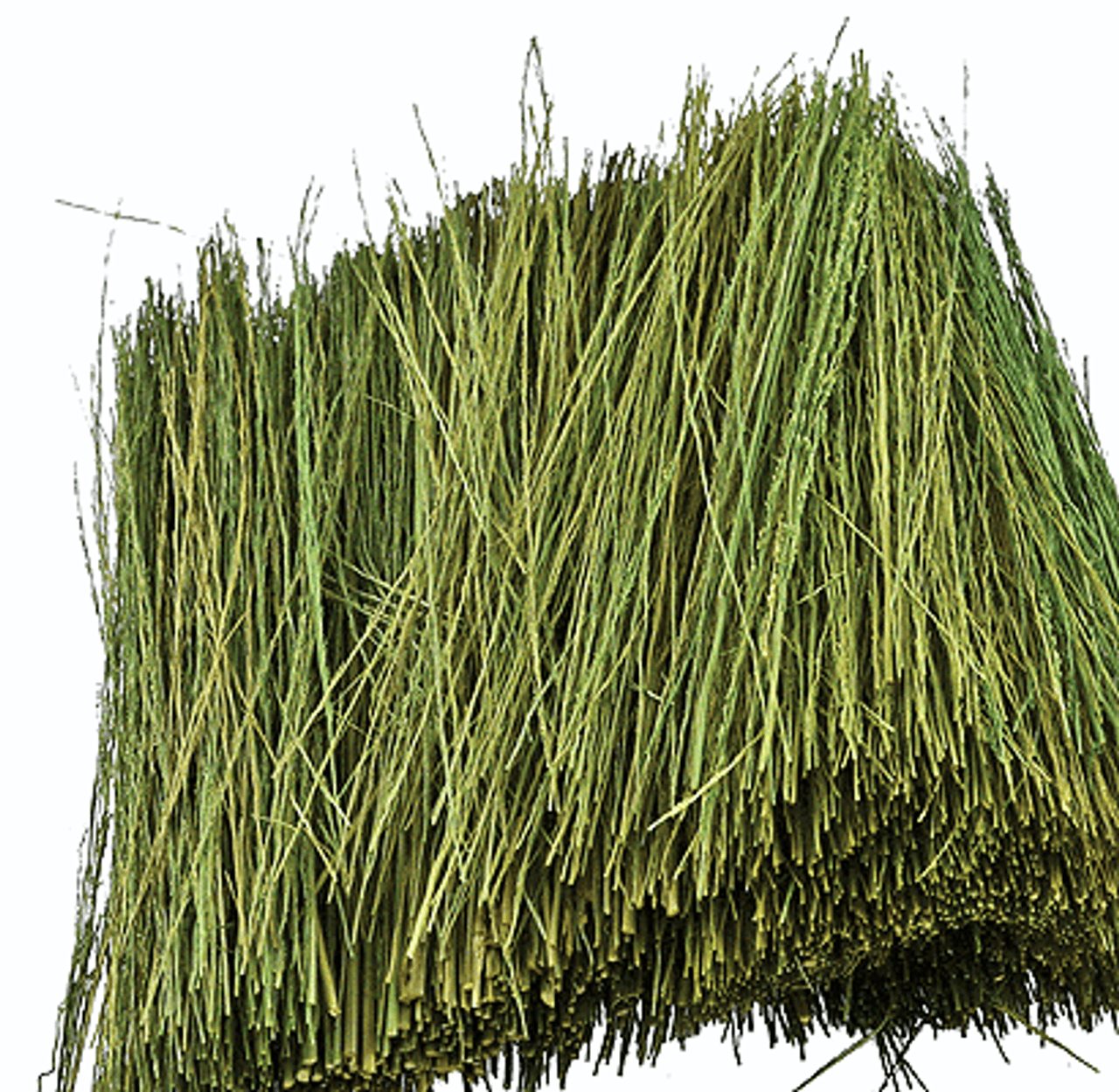 Field Grass - 1/2oz  15g -- Light Green