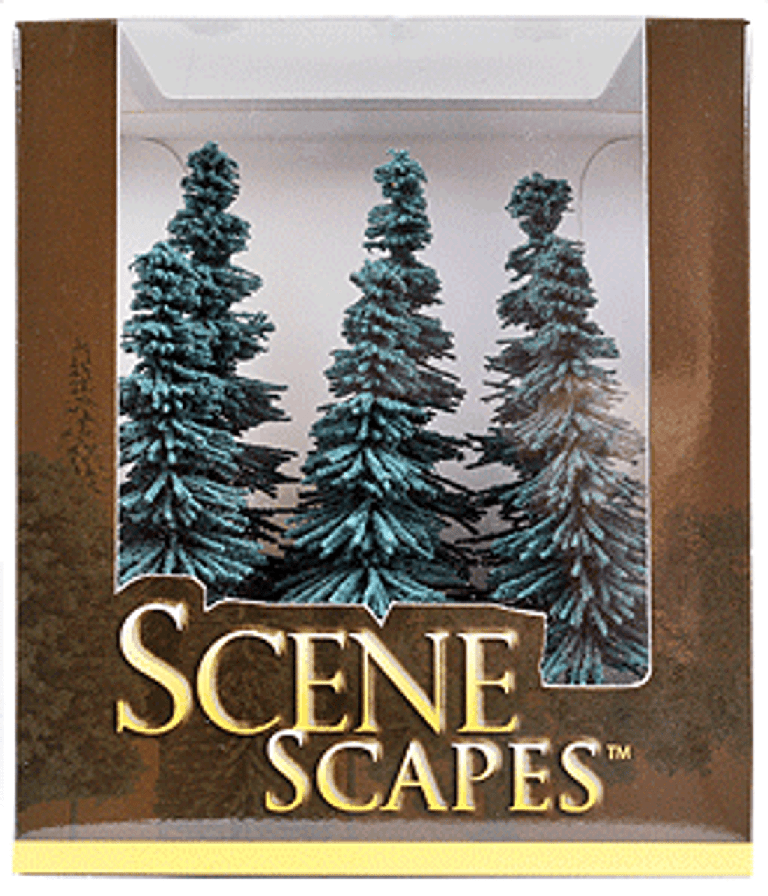 Blue Spruce Trees 5-6" 6/