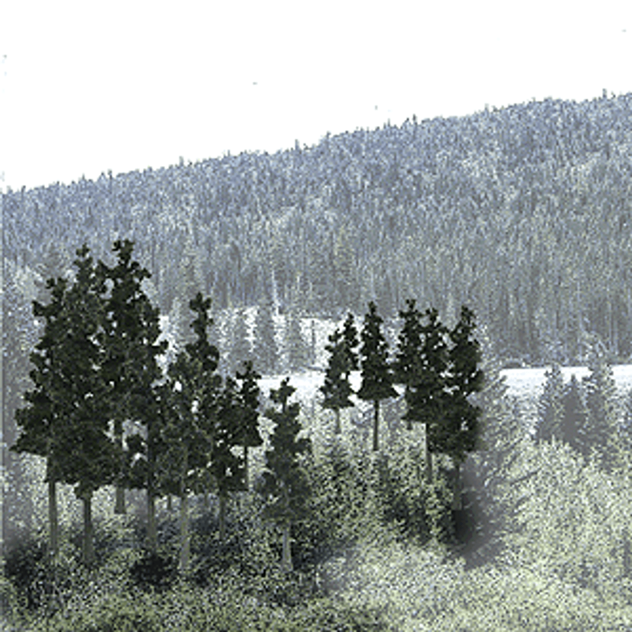 Coniferous Tree Pack - Ready Made Trees(TM) -- 2-1/2 to 4&quot;  6.4 to 10.2cm pkg(33)