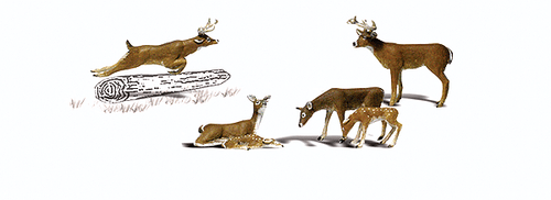 Scenic Accents(R) -- White-Tail Deer pkg(6)