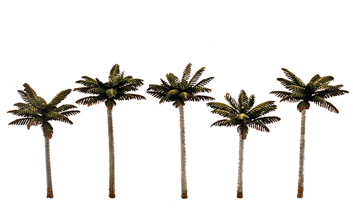 Small Palm Trees - Woodland Classics(TM) Ready Made Trees(TM) -- 3 to 3-3/4&quot;  7.6 to 9.5cm pkg(5)