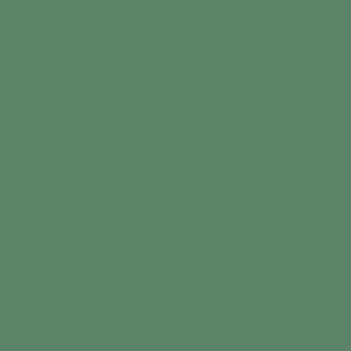 Military Acrylic Colors - 1oz  29.6mL -- (FS 34092) Gunship Green