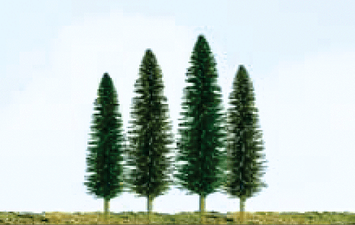 Cedar Trees -- 4 to 6&quot;  10.2 to 15.2cm pkg(24)