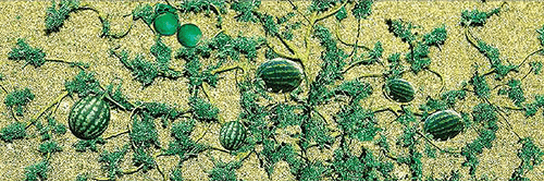 Watermelon Patch -- pkg(4)