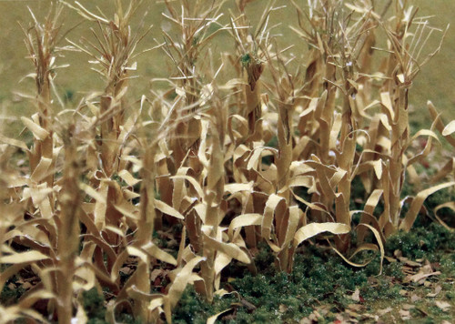 Dried Corn Stalks -- pkg(30)