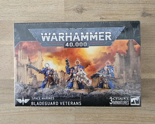 Bladeguard Veteran Squad