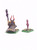 Chaos Sorcerer with Familiar - Painted