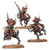 Serberys Raiders