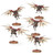 Pteraxii Skystalkers