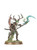 Branchwych