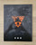 Kill Team Starter Handbook (Spanish) - Brand New