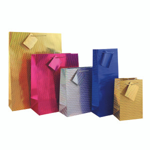 EU99148 Holographic Gift Bag Medium Pack 12 FUNK3 EU99148 Holographic Gift Bag Medium Pack 12 FUNK3