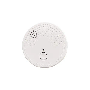 FM81010 Domestic Battery Operated Smoke Alarm ESA1 FM81010 Domestic Battery Operated Smoke Alarm ESA1