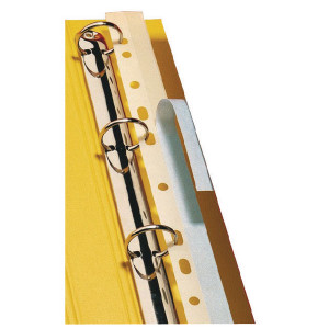 LX25120 Pelltech Self-Adhesive File Strips 295mm Pack 100 PLD25120 LX25120 Pelltech Self-Adhesive File Strips 295mm Pack 100 PLD25120