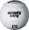 DeMarini Windy City Series WTA9266B 16 Inch Softball
