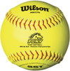 Wilson Pony League Series WTA9075BSST 12 Inch Leather Fastpitch Softball