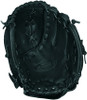 10 Inch Wilson A425 WTA0425-10 Youth Baseball Glove