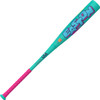 2026 Easton Hype Fire Spring Break Edition USA Baseball Bat  (-11oz)