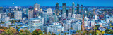 Aerial shot of city skyline