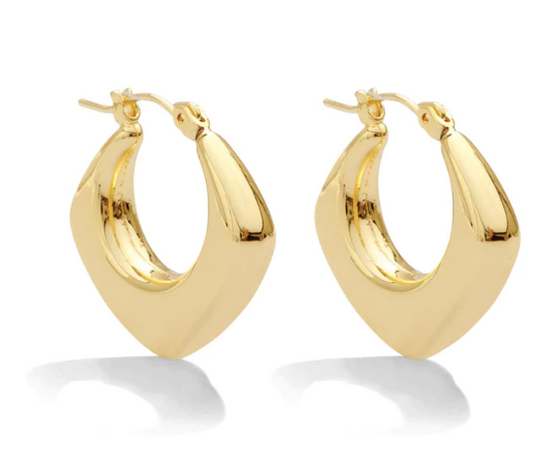 Splendid Iris- Wide Angled Latch Earrings