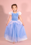 Joy Costumes- Princess Costumes