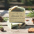 Adirondack Pine handmade soap bar by Saratoga Natural Body Care, artisan green soap with forest-inspired tones, shea butter and olive oil soap photographed with pinecones and greenery