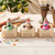 Ice Cream Suds novelty handmade soap bars with colorful ice cream duck toys, olive oil and shea butter soap, pastel summer packaging, and playful dessert-themed display.