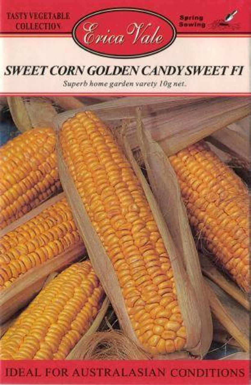 Erica Vale Seed - Sweet Corn Golden Candy Sweet