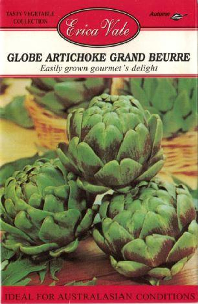 Erica Vale Seed - Globe Artichoke Grand Beurre