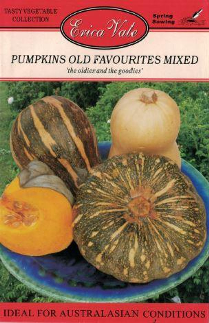Erica Vale Seed - Pumpkin Old Favourites
