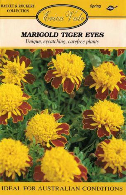 Erica Vale Seed - Marigold Tiger Eyes