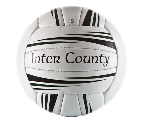 Delaware Gaels Inter County Football 2026