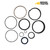 231384700 Seal Kit for Timberjack 240, 240A Log Skidder Dozer Blade, Steering, Single Arch Cylinder