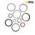 Single Arch Cylinder Seal Kit for Timberjack 380, 380A, 380B - 845109500